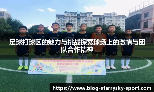足球打球区的魅力与挑战探索球场上的激情与团队合作精神